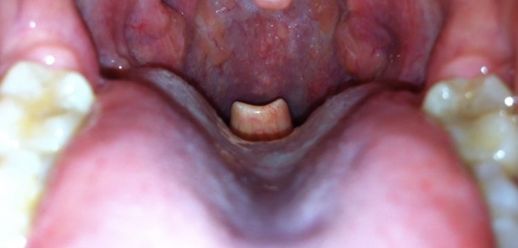 nrgruski's tweet photo. What is this - wrong answers only. https://t.co/zSuIcwo3V7