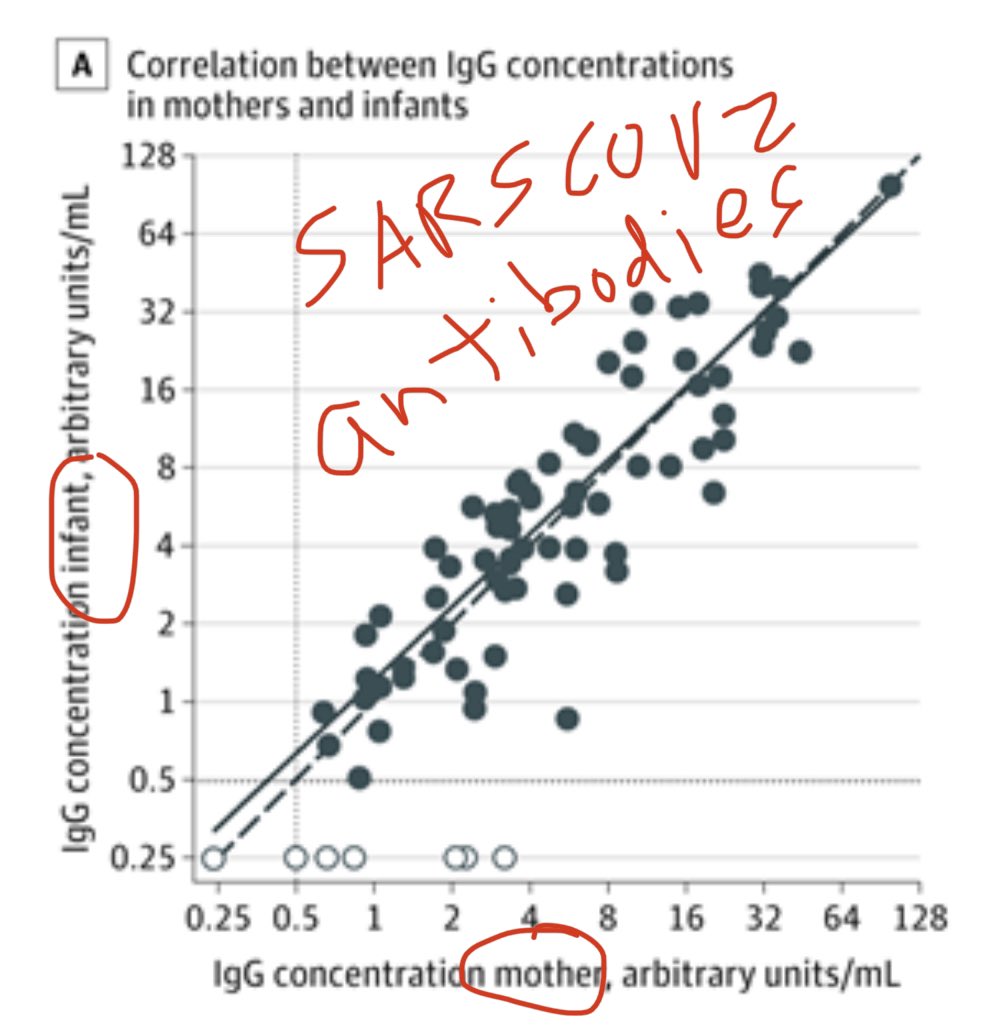 Great news—MOTHER TO INFANT ANTIBODY TRANSFER! New study demonstrates  #SARSCoV2 IgG antibodies were transferred across the placenta to infant cord blood in 87% of pregnant women with antibodies. Potential for moms’ antibodies to provide infant protection from  #COVID19! 