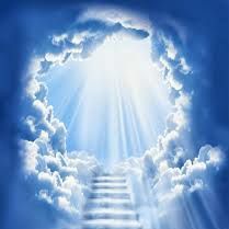 TheLordDecides's tweet photo. Whether you like it or not Pewdiepie is going to Heaven. 
When I'm not watching humanity, I'm watching lwiay. https://t.co/6CLTrvwGeH