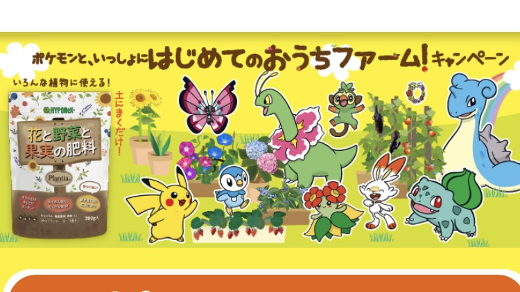 ポケモンセンターnakayama ポケモンと いっしょに はじめてのおうちファーム キャンペーン ポケモンオリジナル ガーデンピック 親子ウォッチ 親子ガーデンエプロン T Co Sgrj8vh72r T Co Lbtg0t9waw Twitter
