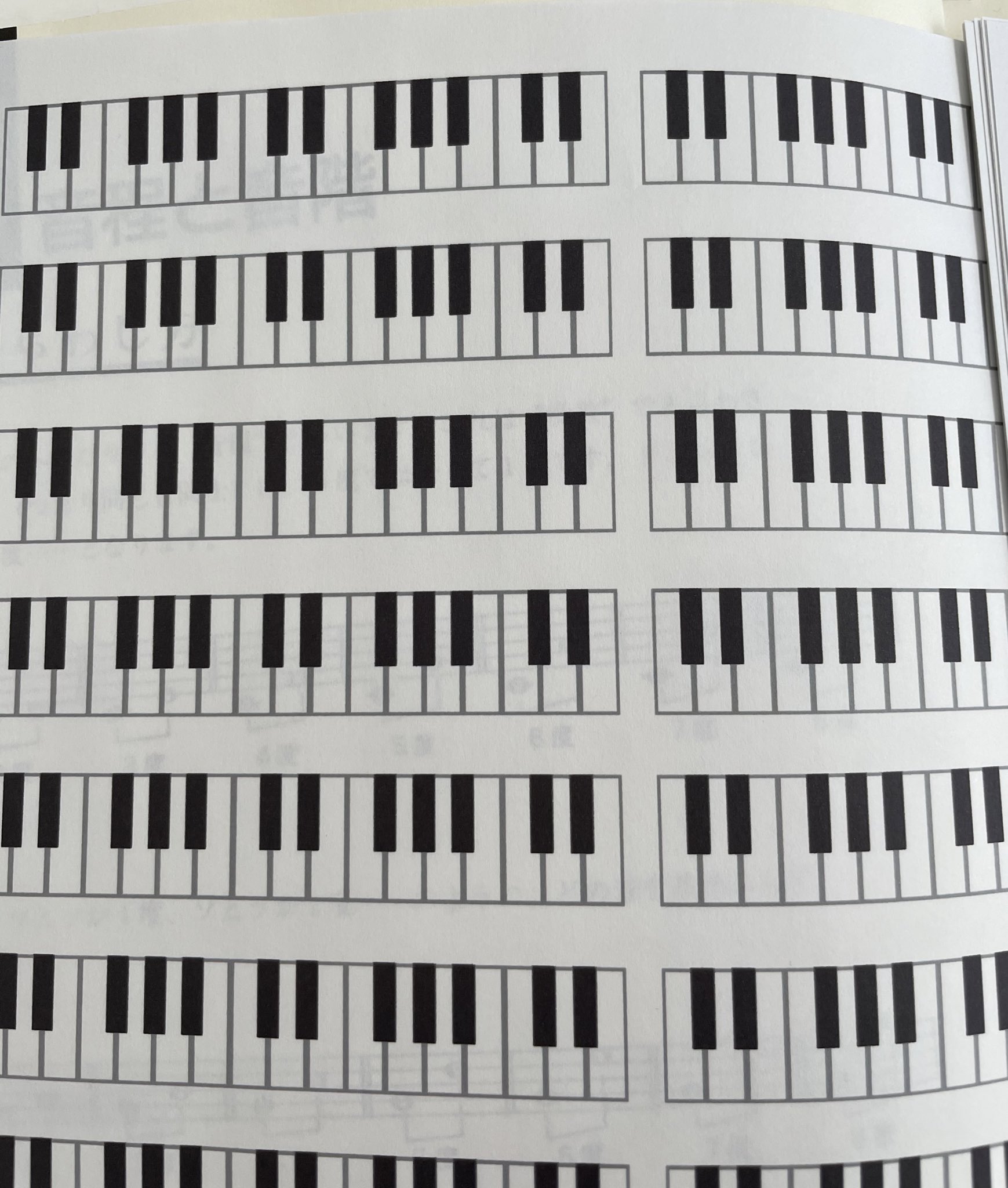 青クマ インターバル 音程 の勉強し直そうと 鍵盤のイラストをたくさんプリントしたら 後半 黒鍵に白いラインが入りましたとさ T Co Q8meycswk0 Twitter