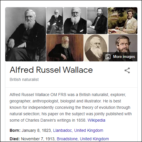 Alfred Russel Wallace (1823-1913) to the discomfort of many contemporaries, was a spiritualist.He believed that natural selection could not explain the human intellect, and that the human spirit persisted after death.