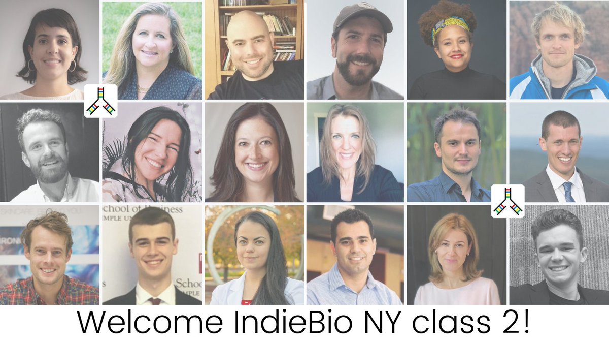 SOSV SF & NY (Fka IndieBio) tweet media