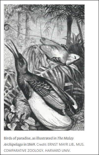 The Malay Archipelago was then a great Milky Way of land masses and seas and straits, little explored by Europeans, sparsely populated by peoples of diverse cultures, and harboring countless species of unknown plant and animal in dense tropical forests.