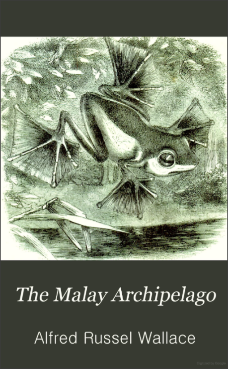 Wallace travelled continuously among the islands for eight years (until 1862), and his mishaps, his hardships, his long weeks of illness and loneliness, his near-death scrapes, as well as his collecting and observing, are recounted in this vivid, encompassing book.