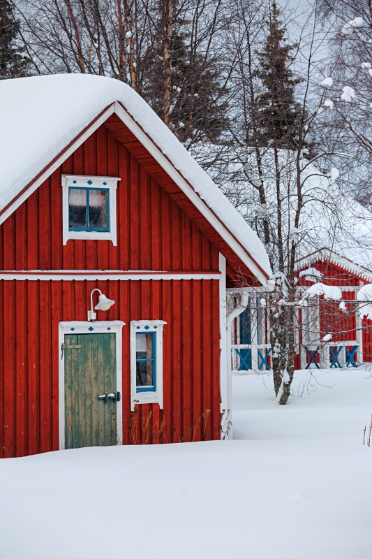 janjohnsen23's tweet photo. red and white in winter
#barninsnow #redbarn https://t.co/vZo6Dn5cRo