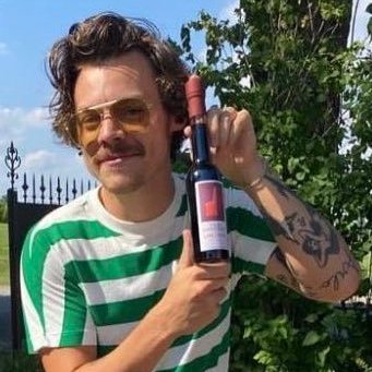 Harry Styles and Louis Tomlinson pics that belong next to each other.~a long but necessary thread~