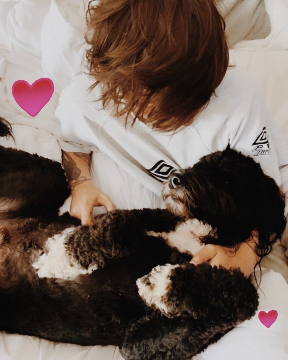 Harry Styles and Louis Tomlinson pics that belong next to each other.~a long but necessary thread~