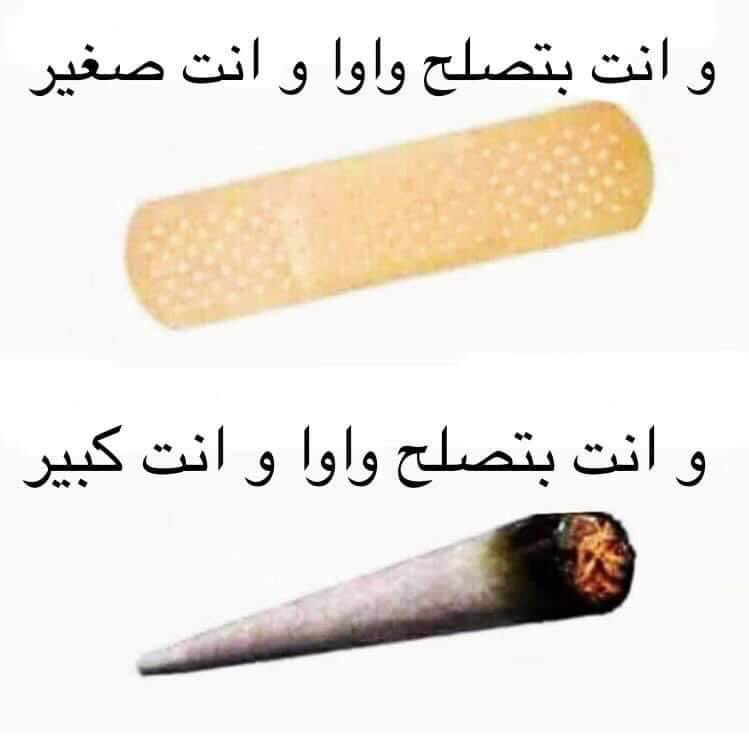 i meme it (@egymeme11) on Twitter photo 