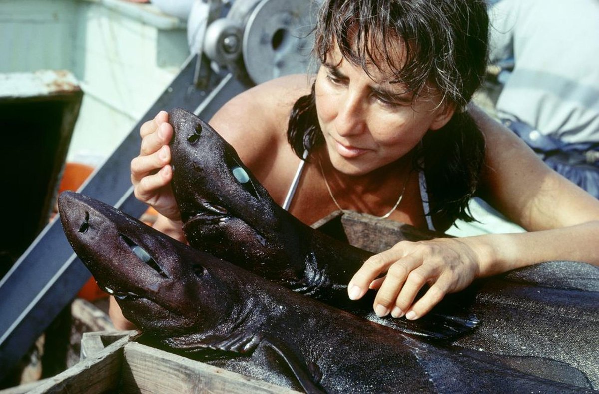 This week’s  #SundayScientistShoutout is Eugenie Clark (1922-2015)!Clark is an American ichthyologist who worked with fish (order Tetraodontiforme) and shark behavior - container her the title of “The Shark Lady”(1/n) #DiversityinSTEM #WomenInWildlife http://bit.ly/ec_smith&nbsp;