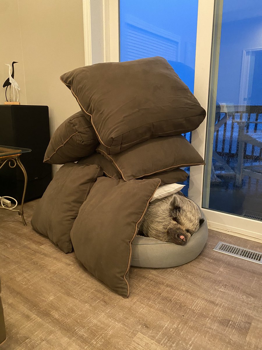 Here let’s try this again. In a proper chain. How high can they go!