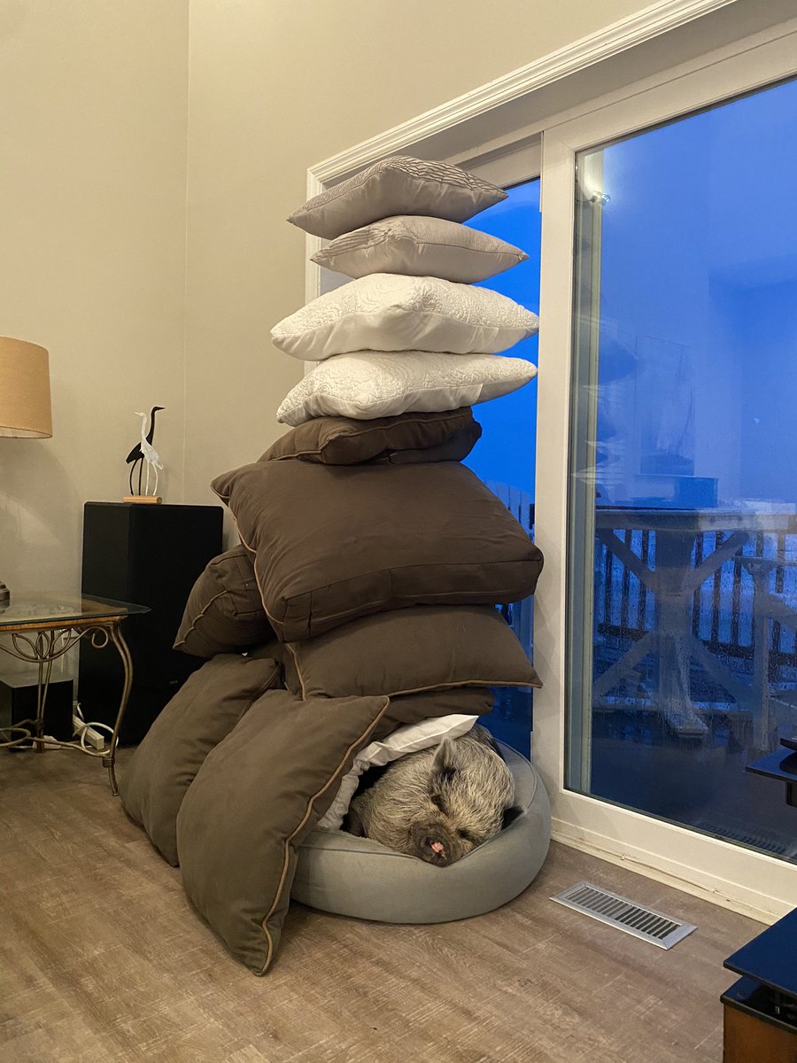 Here let’s try this again. In a proper chain. How high can they go!