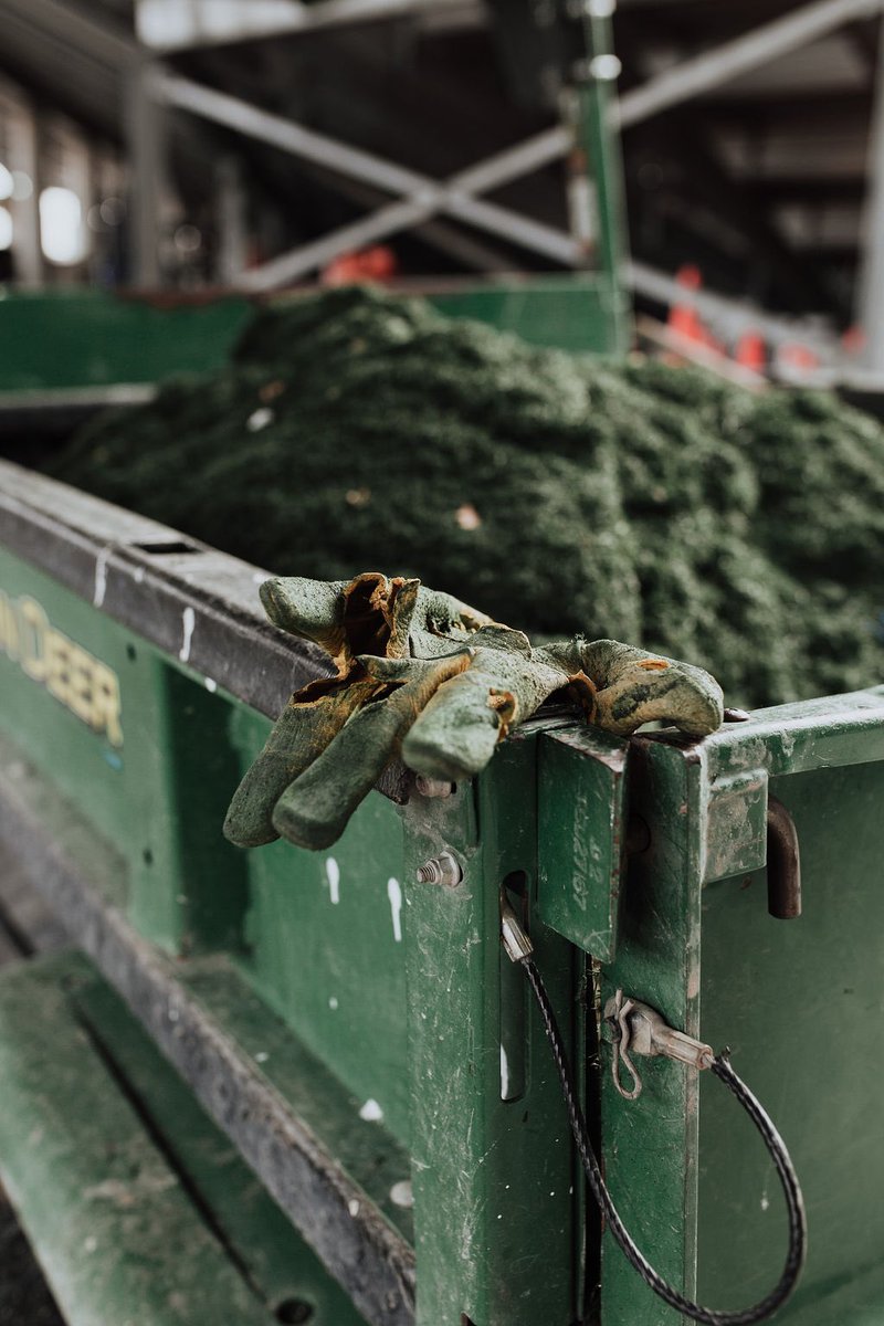 San Antonio FC tweet media