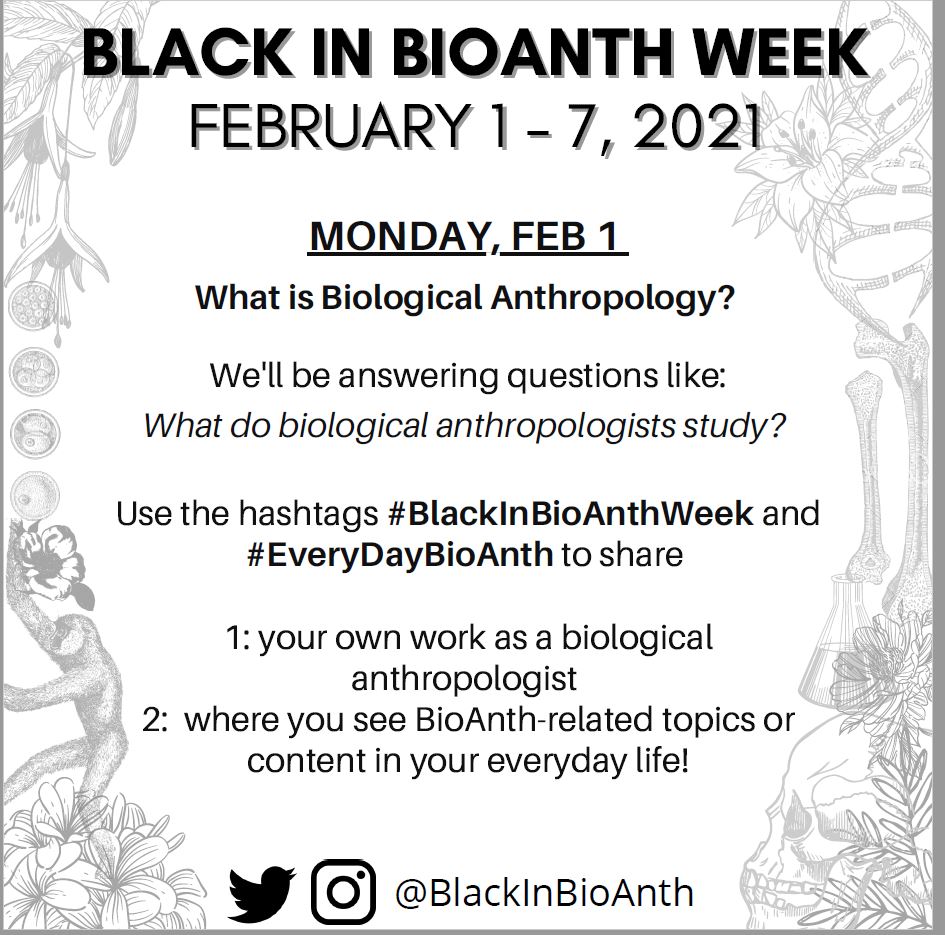 leclercfl's tweet photo. Top #evolution story: @BlackinBioAnth: 'The hashtag for the first day of #BlackinBioAnthWeek which is tomorrow, Feb 1st is #EveryDayBioAnth. Get ready to learn all about Biological anthropology and how it applies to our⦠https://t.co/iYy7kLN2pG, see more https://t.co/vBI5qAWI96