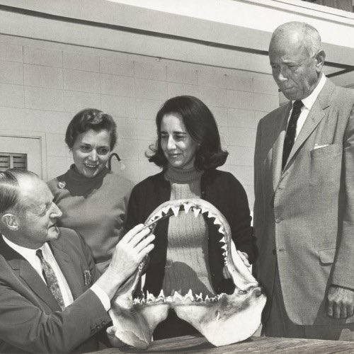 Clark applied to Columbia University to pursue her graduate studies - her application was rejected. The rejection came from “a department chairman concerned that she would leave her career in science to raise a family.”(5/n) #SundayScientistShoutout http://bit.ly/ec_mote&nbsp;