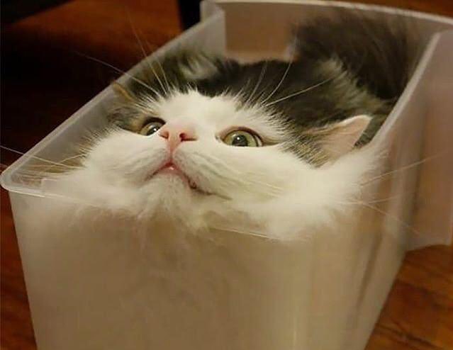 GabrielleBates's tweet image. The poem you revised into a sonnet