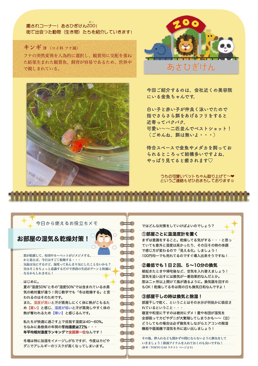 タ シ 新入社員a 母業兼任 アサヒ技研工業のダイレクトメール ひだまり通信 2月号 です ご覧ください Diy プチリフォーム ロールスクリーン 金魚 換気 乾燥対策 湿気対策 大根島 由志園 イルミネーション 出雲ランチ 食堂cafeみらく