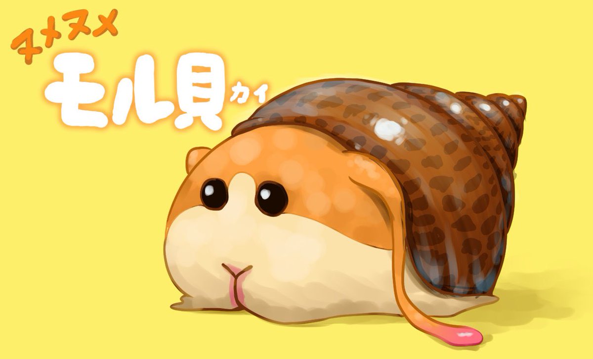 ロール おはようございます 今日の巻貝 2 1 ヌメヌメモル貝 ﾇﾒﾒｰ みんなで楽しむtwitter展覧会 絵描きさんと繫がりたい イラスト モルカー