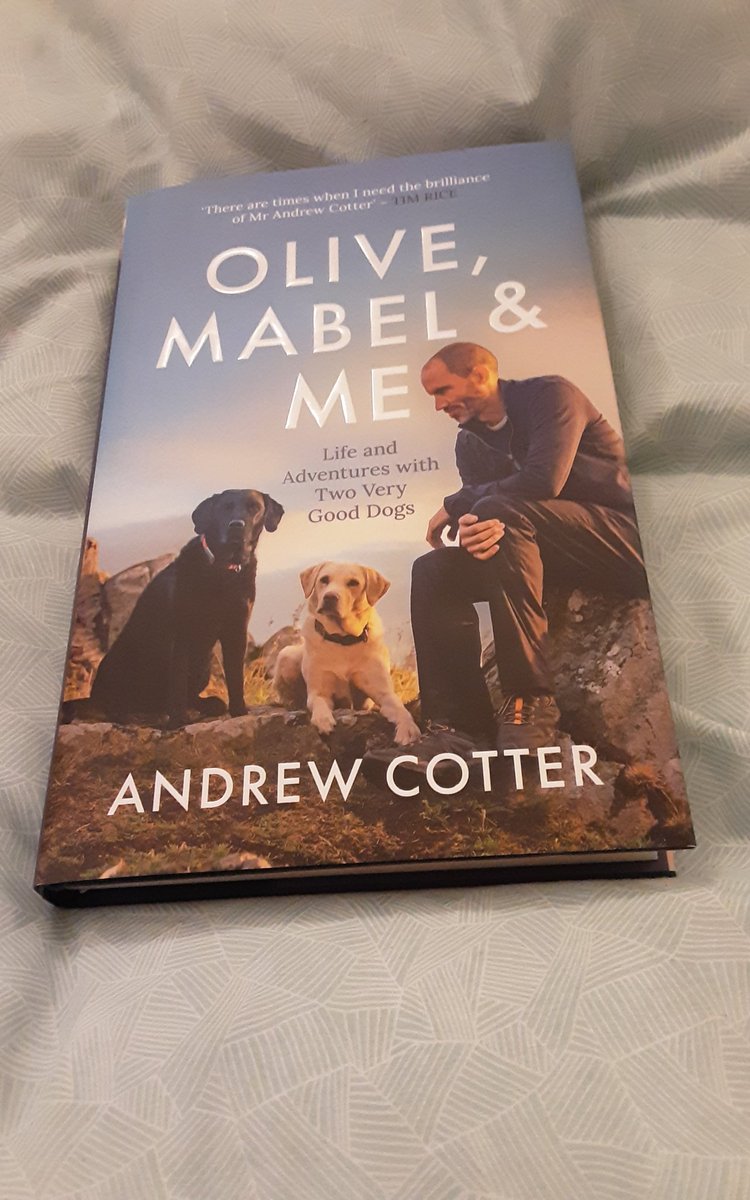 Andrew Cotter Twitter Andrew Cotter Twitter