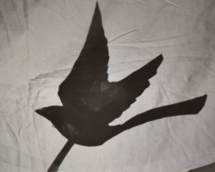 KJARPAD's tweet photo. More great examples of shadow puppets from @Year7KJAR @KJARSchool #creativity #drama https://t.co/ySiYbkKVaj