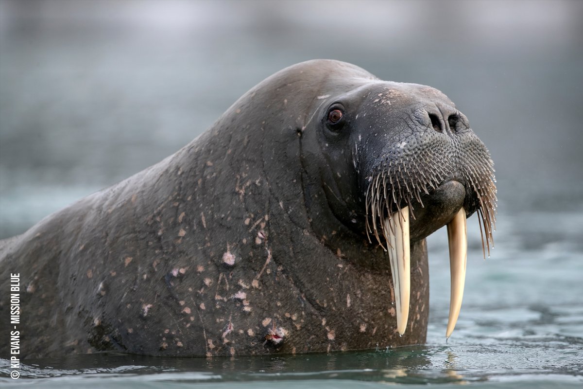 The sooner we exercise our power to protect what remains of the systems that keep us alive, the better it will be.