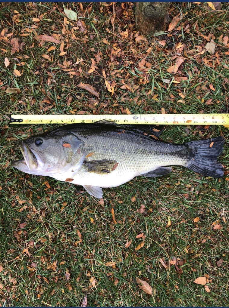 Alright I’m already missing open water season <a href="/FavoriteRodsUSA/">Favorite USA</a> <a href="/googanbaits/">googanbaits</a> and it’s not even February😭😂