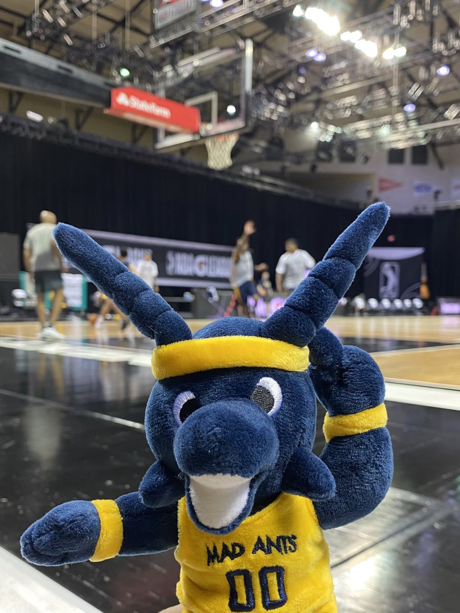 noblesvilleboom's tweet photo. Guess who got into training camp! Day one has been fun! 😡🐜🏀
#LittleAnt #ANTertainment https://t.co/1JaZscttfH