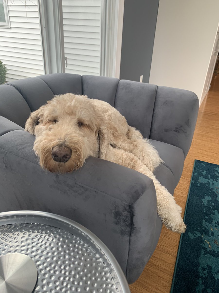 Bhuvnesh Aggarwal tweet media