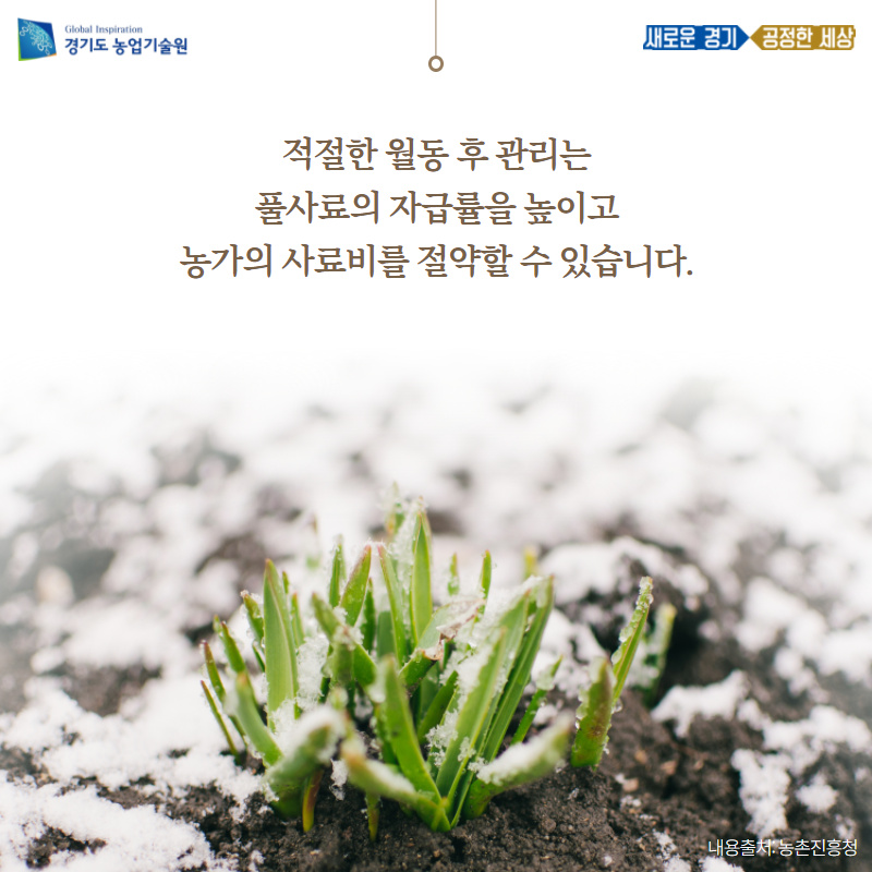 경기도농업기술원 농촌자원과 tweet media