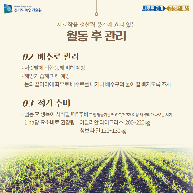 경기도농업기술원 농촌자원과 tweet media