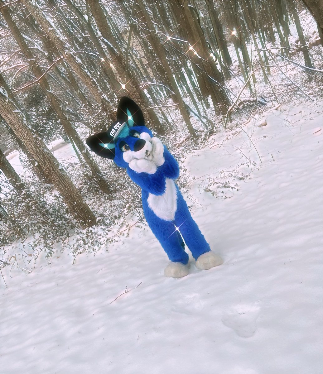 Who else loves snow? I definitely do! ❄️ 

🦊✂️: @elk_craft 

#furry #fursuit #fursuiter #fursuiting #elkfam #elkdragon #elkcraft