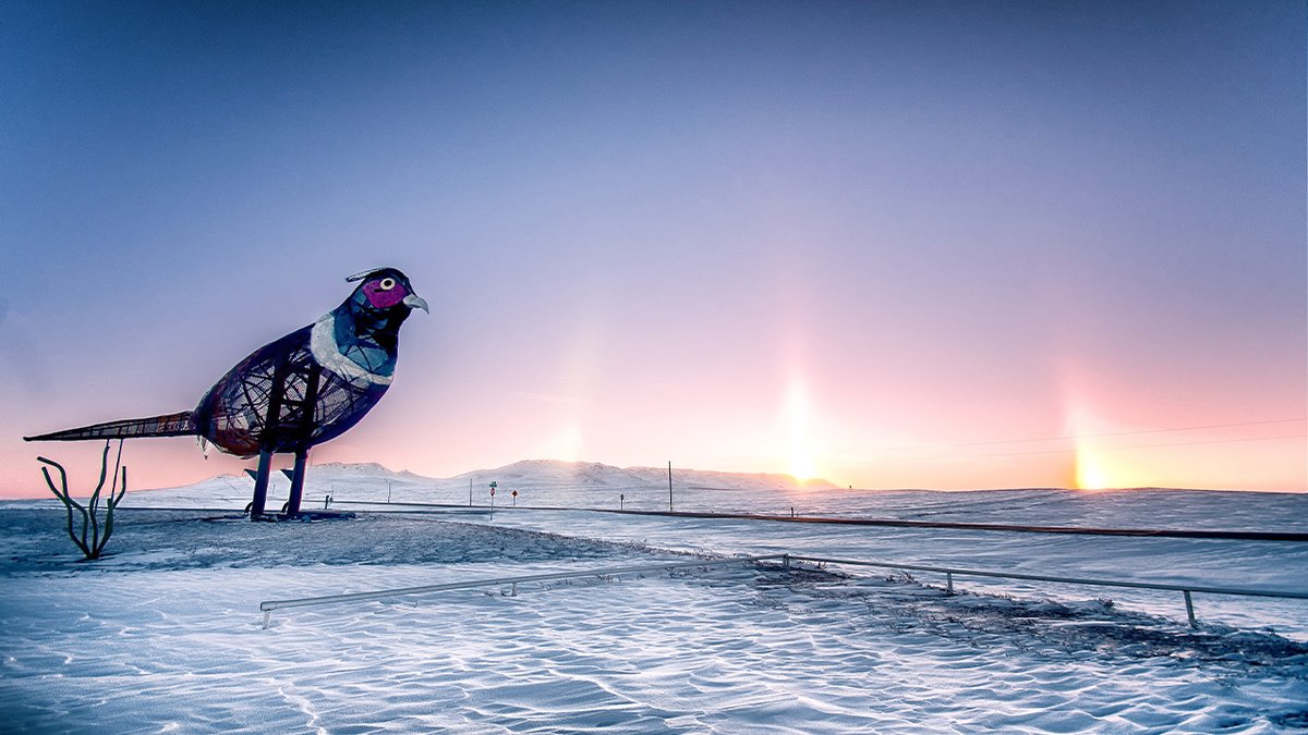 NorthDakota's tweet photo. #SundogSunday anyone? βββ #BeNDLegendary
π·: Dustin White π The Enchanted Highway https://t.co/KEXvWkoQ5c