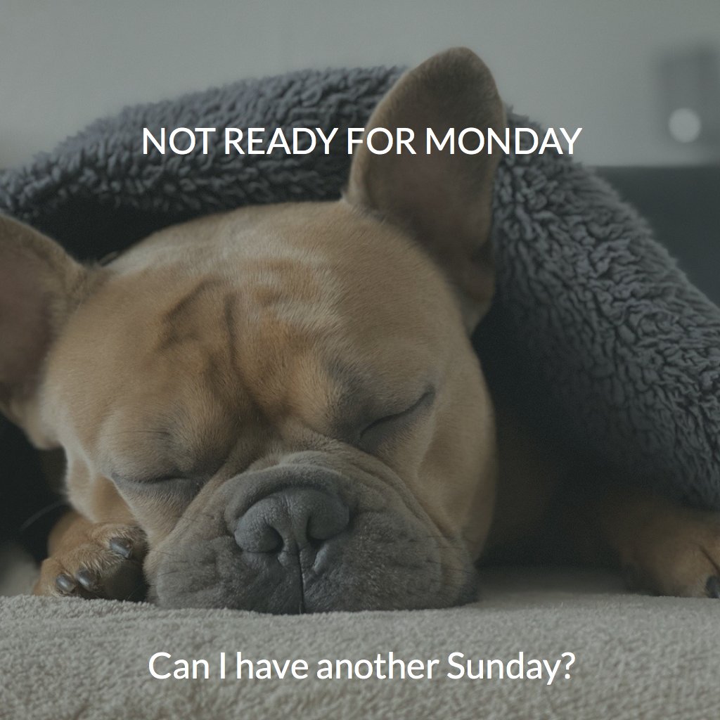 The weekends just go by too fast! 

#Firefold #Notreadyformonday #sundaymemes #sundayvibes #funnymemedaily #memearelife #skilledtrades #bluecollarlife #memeaday