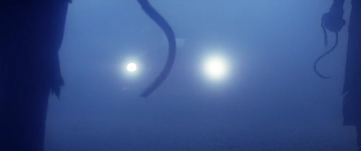 From the fog монстр. From the fog монстр