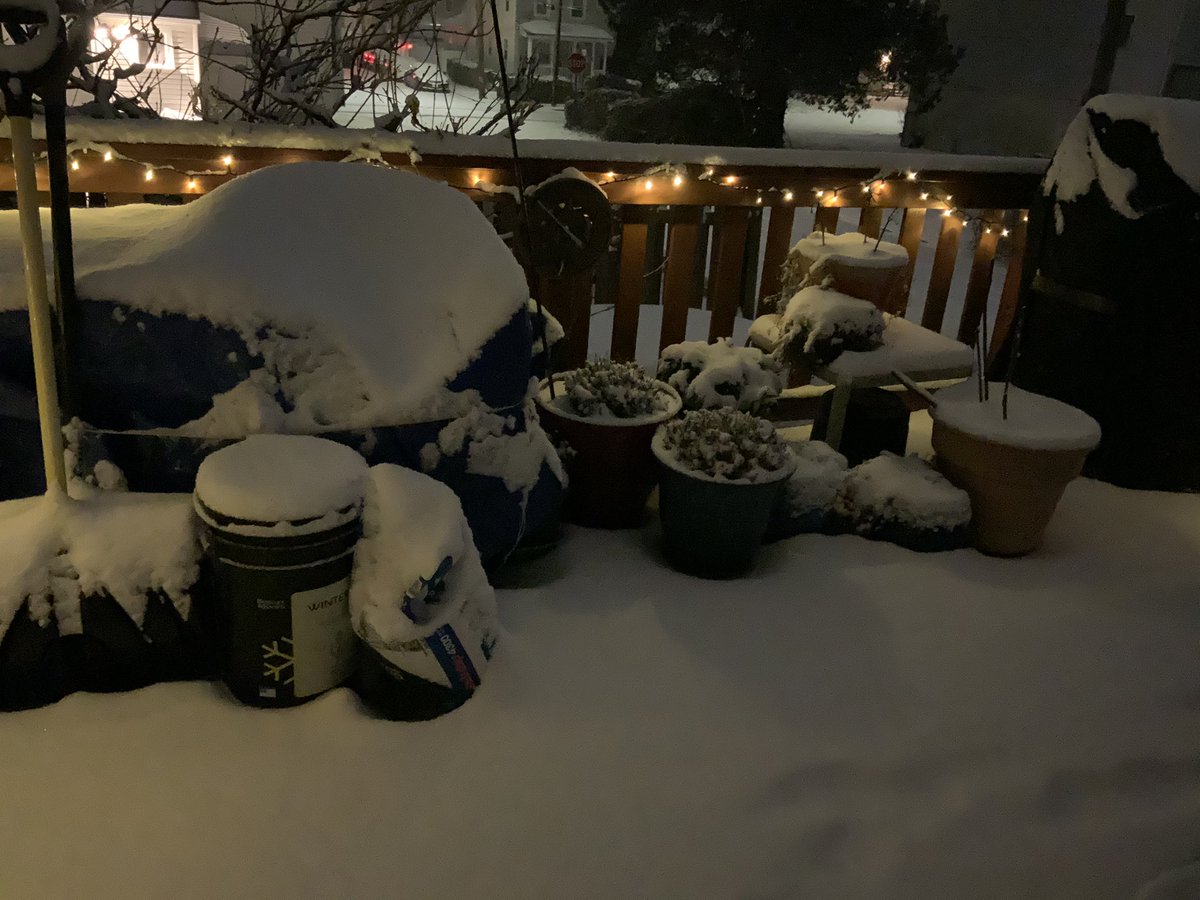 Each year (since 2000 when we moved to PA) I’ve wished for SNOW on my birthday (&amp; yes, other days all winter long, too! LOL) It started snowing this afternoon &amp; we have ~2” so far but it’s supposed to snow all day tomorrow &amp; more Tuesday morning (my birthday)! HAPPINESS! 💃🏻 🎉 🎂
