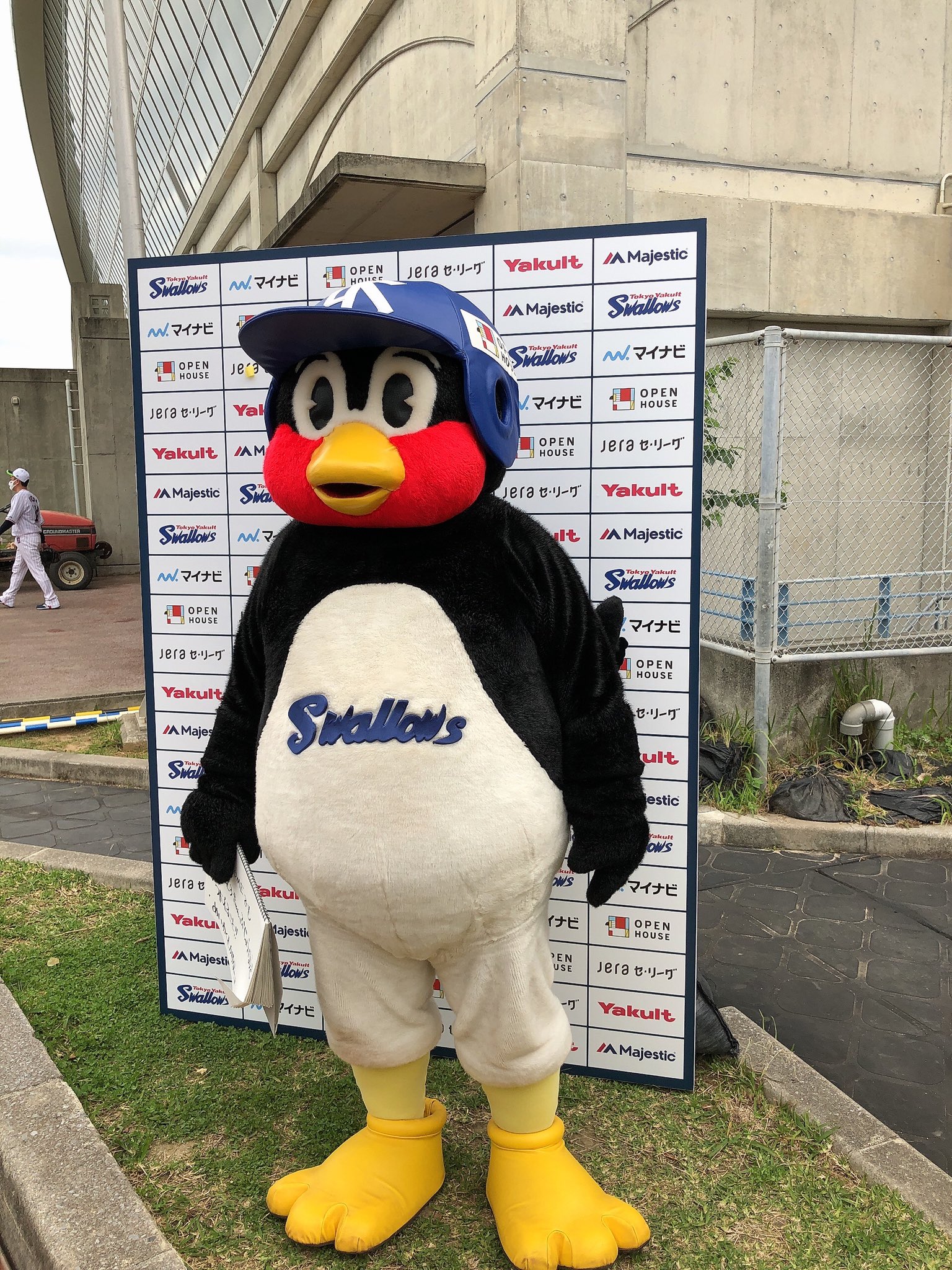 東京ヤクルトスワローズ公式 在 Twitter 上 つば九郎も浦添にてキャンプ参加しております Swallows つば九郎 スワローズ春季キャンプ T Co Pgvlirri45 Twitter