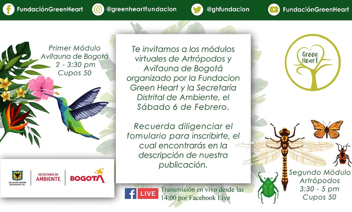 ghfundacion's tweet photo. Estamos prontos a cumplir nuestro primero año y queremos celebrarlo con tigo!!! 🥳💚 Te compartimos una de las actividades para ese dia, y son unos talleres de la Secretaria Distrital de Ambiente. 🌎🌱  #aniversariogreenheart

https://t.co/NbqHYOBeMt https://t.co/AQdxj7kuDZ