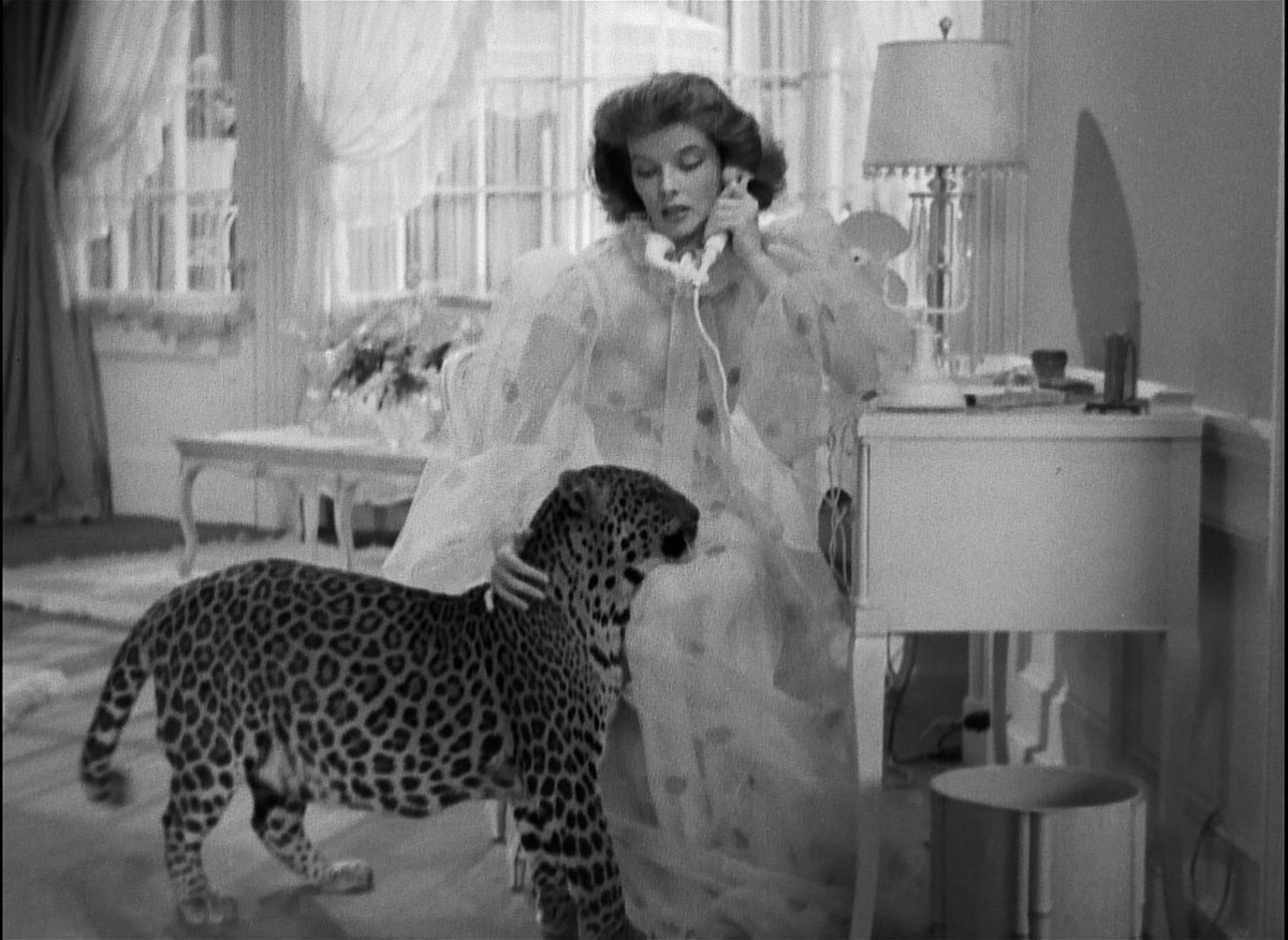 Katharine Hepburn got along well with Nissa, the leopard who played "Baby." She said later she didn't have enough sense to be afraid of it.  #CriterionMovieClub