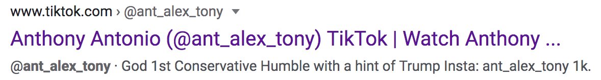 WYFFNews4 showed clips from Anthony's social media accounts, all of which are now deleted. He went by "ant_alex_tony" on TikTok and Instagrm. But Google found a footprint. Originally from Delaware, moved around a bit, and most recently just outside Chicago.