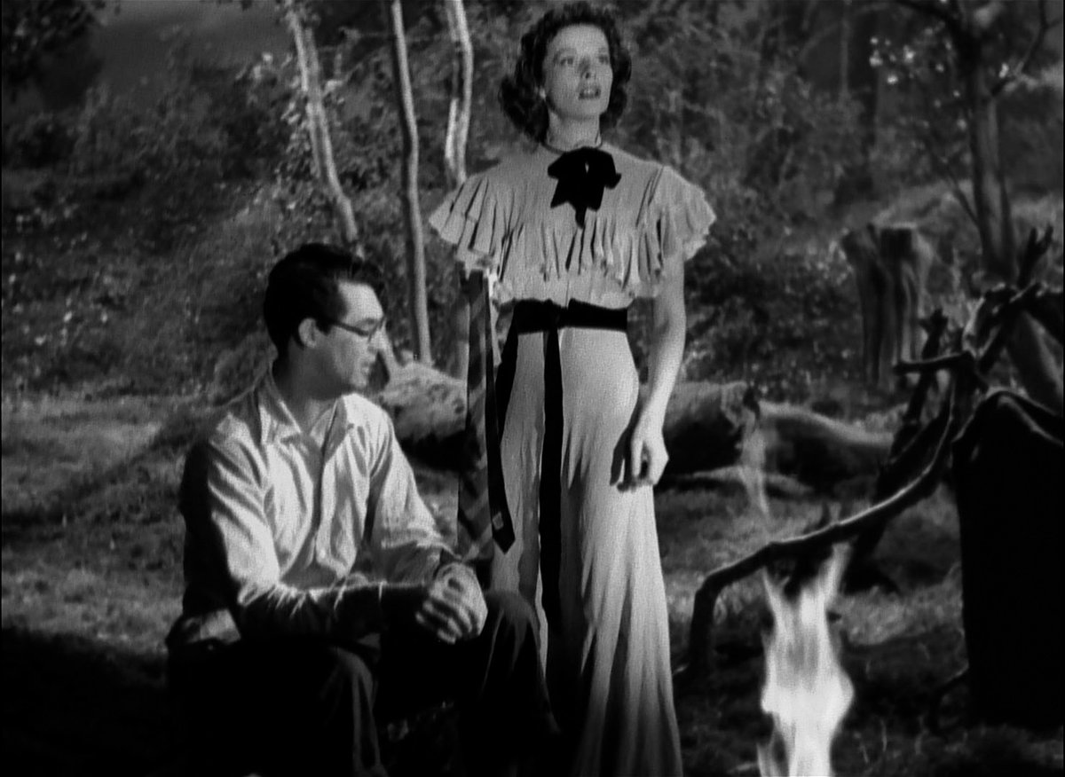 “David may be a nebbish and a clown, but he has Cary Grant’s solidity and gravity, his strange seriousness of spirit.” —James Harvey