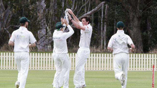 CricConnect tweet media