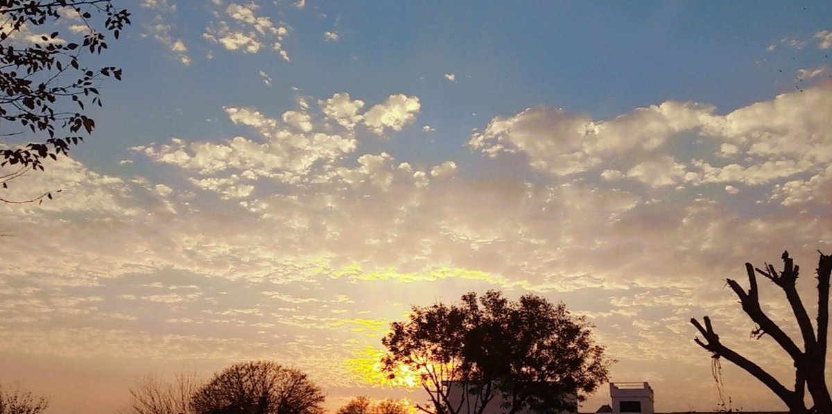 naval_kaur_'s tweet photo. Heaven on earth ⛅ 🌸 https://t.co/1gc64AJYef