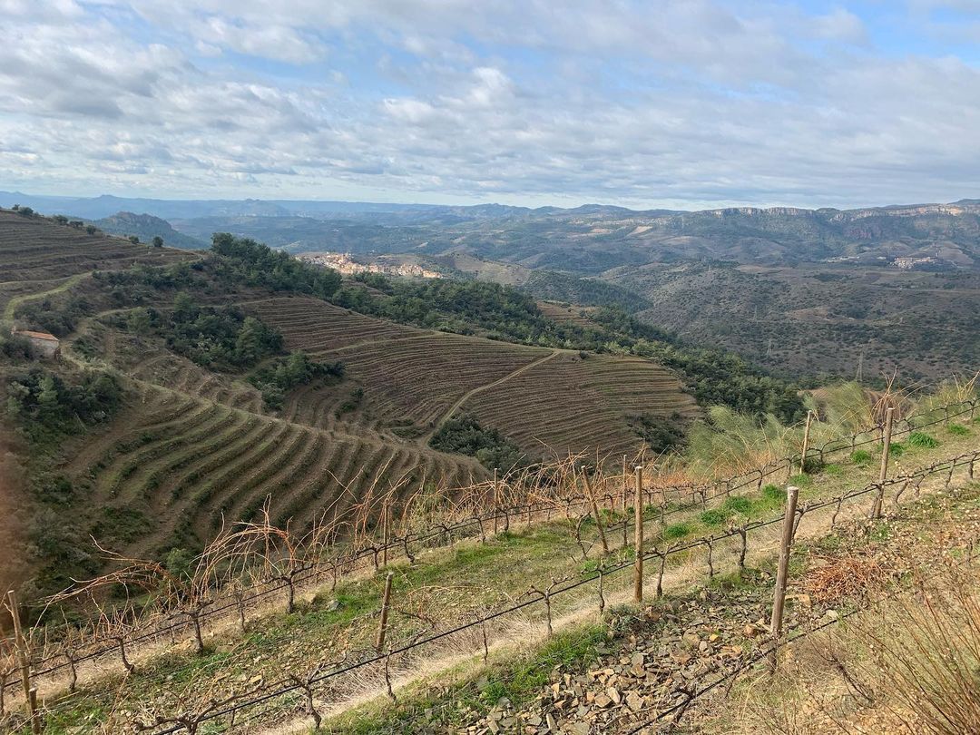 doqpriorat's tweet photo. A les vinyes de la DOQ Priorat continua la poda.
📷 @xavipallejaviticultor
#DOQPriorat #vinsdevila #Elsnomsdelaterra #enoturismo #enotourism #VinsdelsViticultorsdelaDOQPriorat https://t.co/v40PWw7bRJ