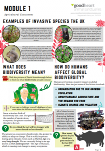 Primary Times UK tweet media