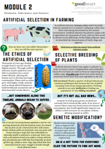 Primary Times UK tweet media