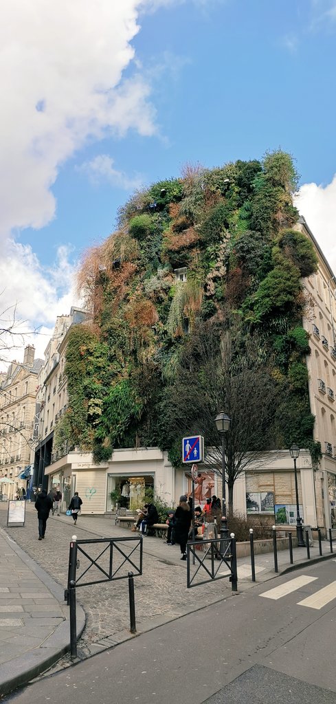 JardiniersDu4em's tweet photo. C le #MurVegetal du créateur #PatrickBlanc,l' #OasisDaboukir
250m2 25m de hauteur
237 espèces différentes... au
40 #RueDesPetitsCarreaux
#ParisCentre
#Paris
#Biodiversité
#VégétalisonsParis
#CheminNatureParisCentre
+ d' infos sur la réalisation...sous
https://t.co/aOM8OrdUg4 https://t.co/hJqWqznkHf