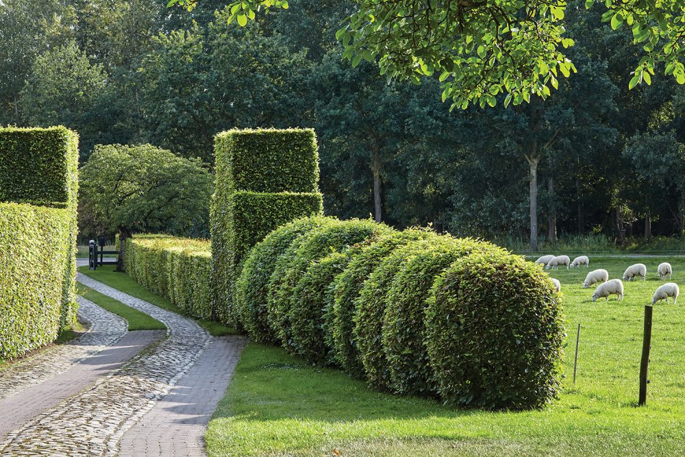 Green Bee Landscapes tweet media