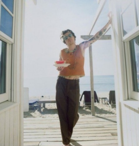 Harry Styles and Louis Tomlinson pics that belong next to each other.~a long but necessary thread~