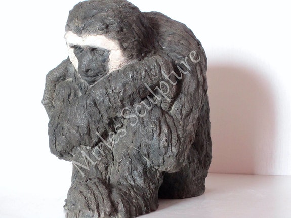frankorangutan7 tweet picture
