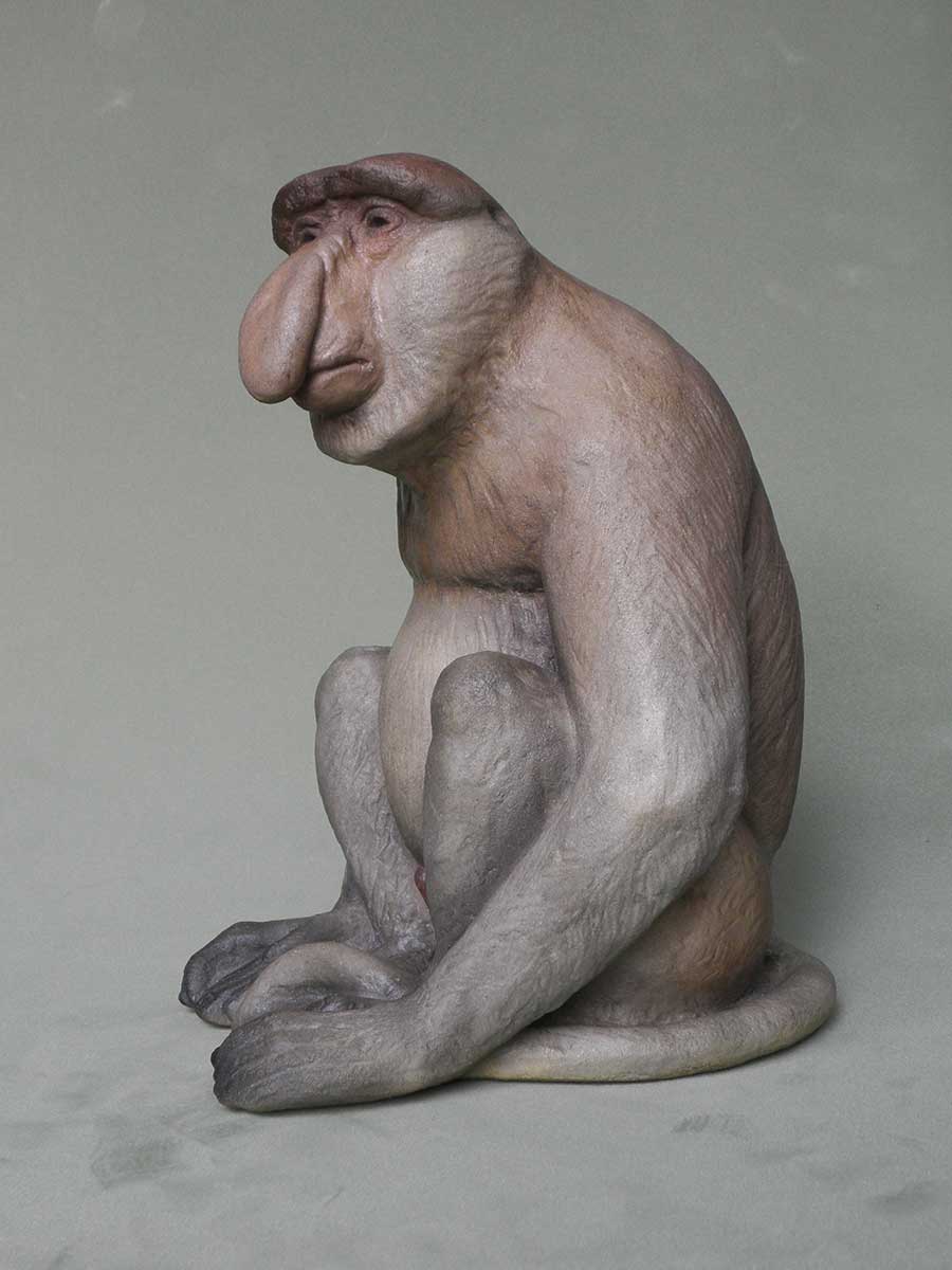 frankorangutan7 tweet picture
